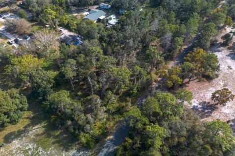 Land in Osteen, Florida № 2167223 - photo 9