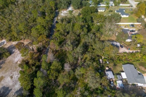 Land in Osteen, Florida № 2167223 - photo 8