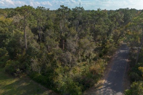 Land in Osteen, Florida № 2167223 - photo 7