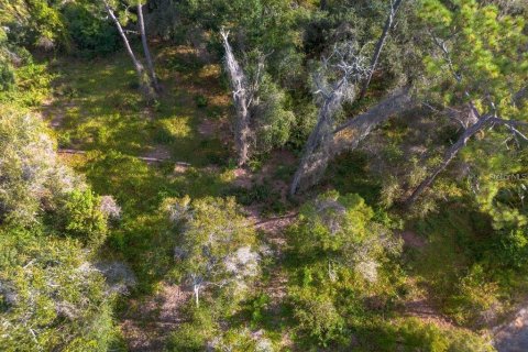 Land in Osteen, Florida № 2167223 - photo 6
