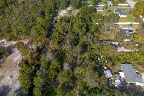 Land in Osteen, Florida № 2167223 - photo 3
