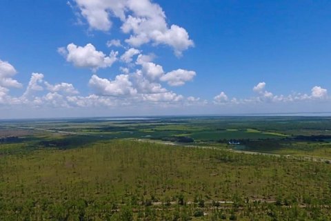 Land in Indian lake estates, Florida № 2165734 - photo 10