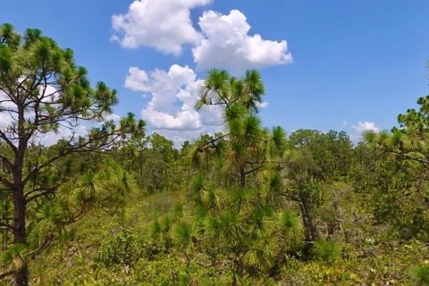 Land in Indian lake estates, Florida № 2165734