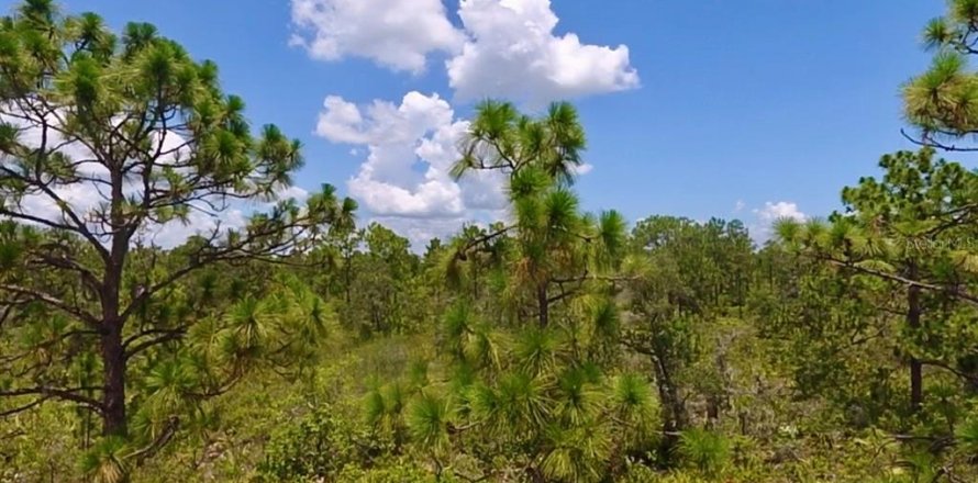 Land in Indian lake estates, Florida № 2165734