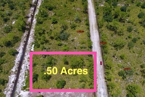 Land in Indian lake estates, Florida № 2165734 - photo 5