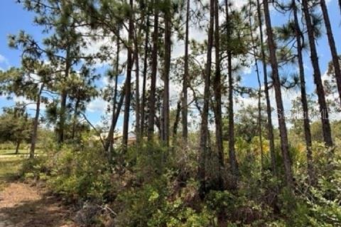 Land in Indian lake estates, Florida № 2165734 - photo 7