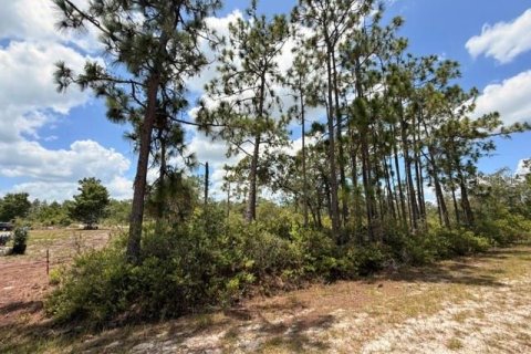 Land in Indian lake estates, Florida № 2165734 - photo 6