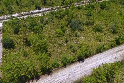 Land in Indian lake estates, Florida № 2165734 - photo 3