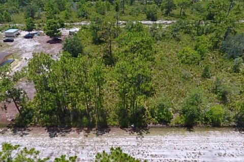 Land in Indian lake estates, Florida № 2165734 - photo 2