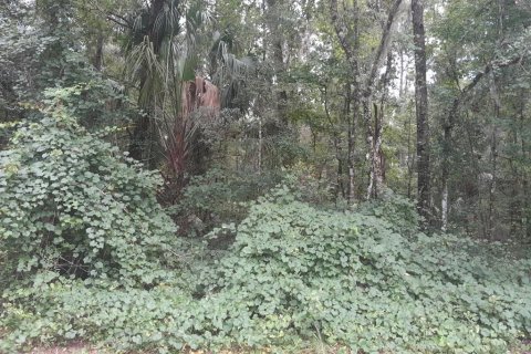Terreno en venta en Reddick, Florida № 1868993 - foto 4