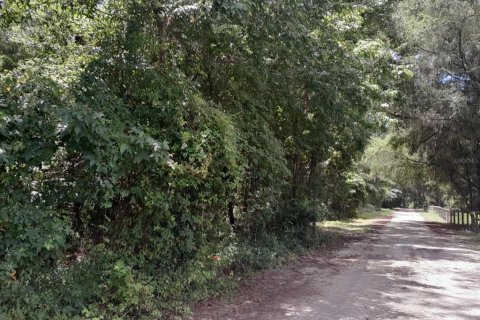 Terreno en venta en Reddick, Florida № 1868993 - foto 1