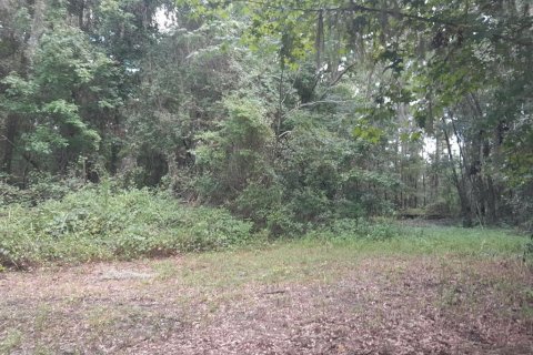 Terreno en venta en Reddick, Florida № 1868993 - foto 2