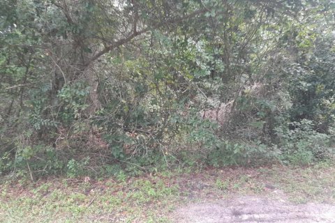 Terreno en venta en Reddick, Florida № 1868993 - foto 5