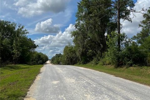 Land in Dunnellon, Florida № 2334262