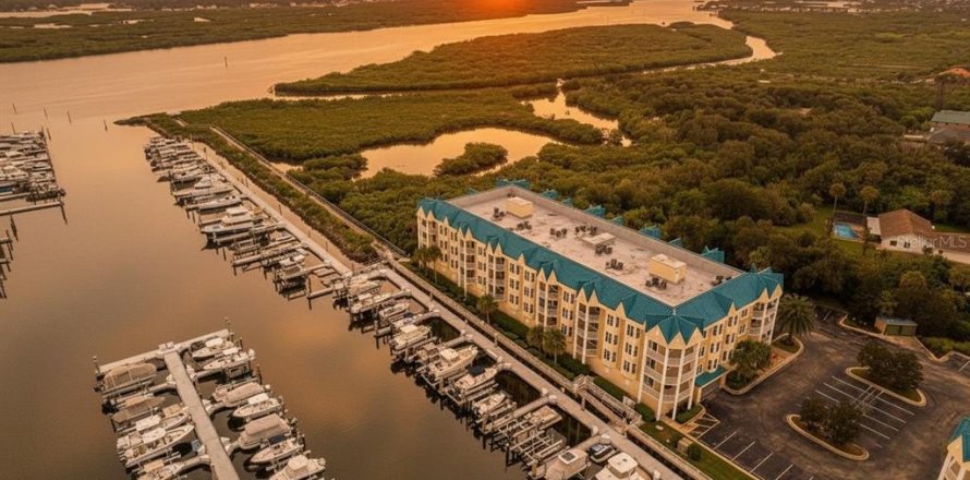 Condo à Ponce Inlet, Floride, 3 chambres № 2410132