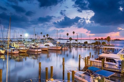 Condo in Dunedin, Florida, 2 bedrooms  № 1758361 - photo 17