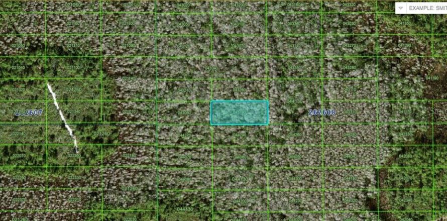Terreno en Polk City, Florida № 2160737