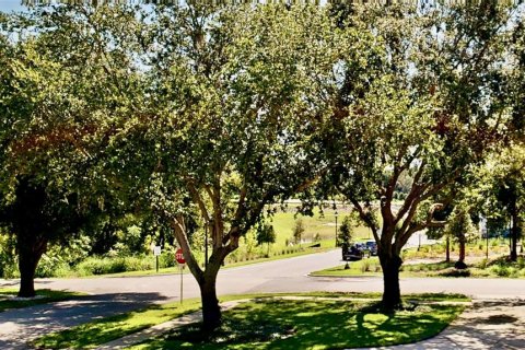 House in Oakland, Florida 4 bedrooms, 281.03 sq.m. № 1744249 - photo 30