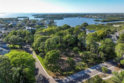 Land in Palm Harbor, Florida № 1901317 - photo 5