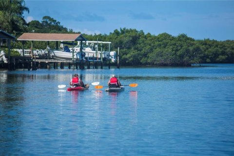 Land in Palm Harbor, Florida № 1901317 - photo 12