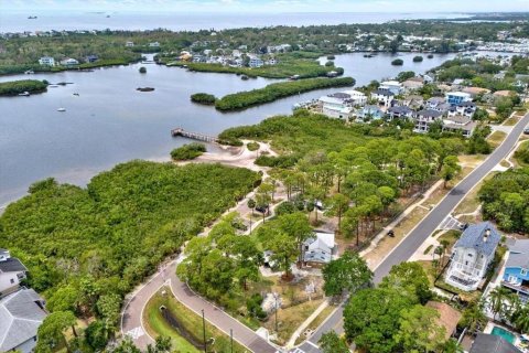 Land in Palm Harbor, Florida № 1901317 - photo 11