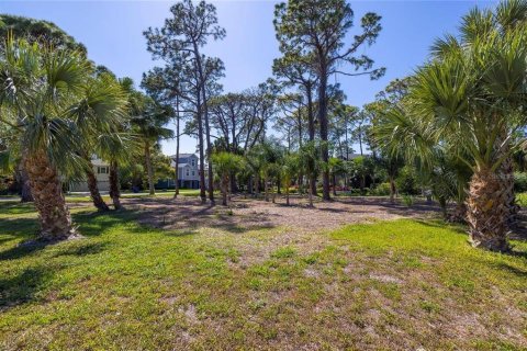 Land in Palm Harbor, Florida № 1901317 - photo 4