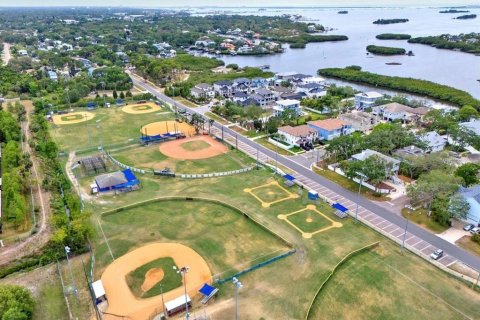 Land in Palm Harbor, Florida № 1901317 - photo 8