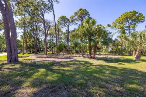 Land in Palm Harbor, Florida № 1901317 - photo 3