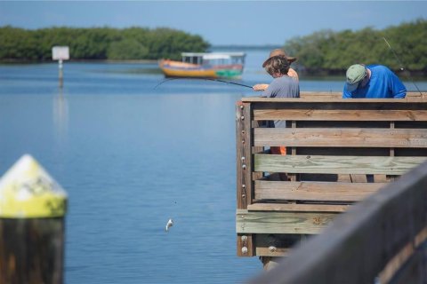 Land in Palm Harbor, Florida № 1901317 - photo 13
