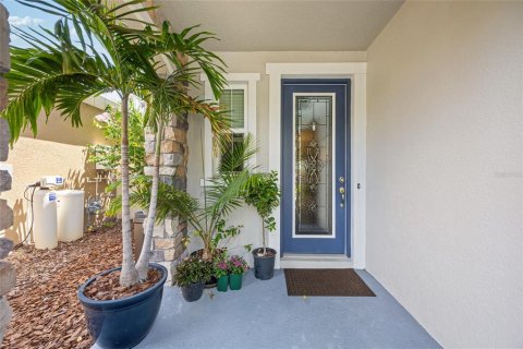 House in Lutz, Florida 4 bedrooms, 292.55 sq.m. № 1795303 - photo 5