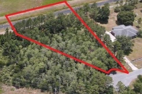 Купить земельный участок в Орландо, Флорида № 1916378 - фото 2