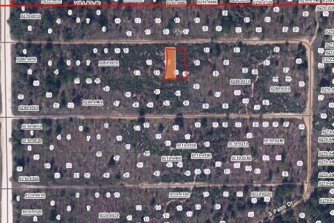 Land in Interlachen, Florida № 2228599 - photo 2