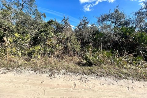 Land in Altoona, Florida № 2163588 - photo 7