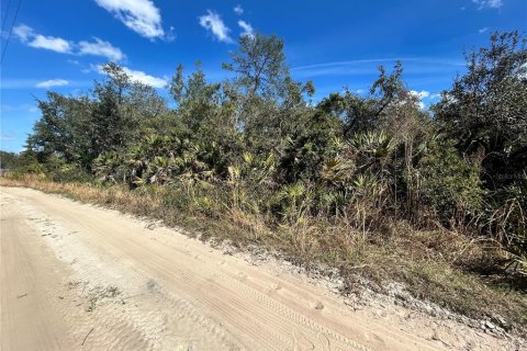 Land in Altoona, Florida № 2163588 - photo 6