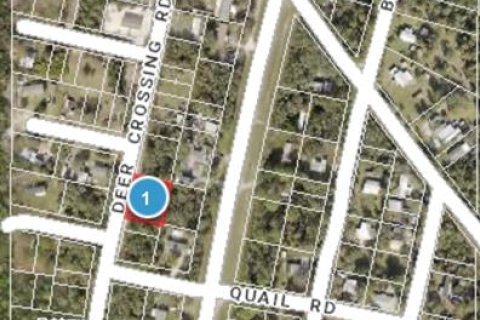 Land in Altoona, Florida № 2163588 - photo 12