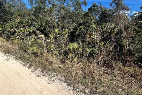 Land in Altoona, Florida № 2163588 - photo 3