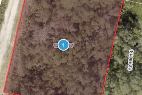 Land in Altoona, Florida № 2163588 - photo 11