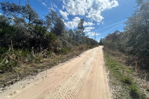 Land in Altoona, Florida № 2163588 - photo 9