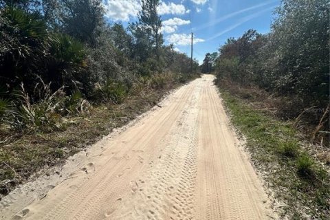 Land in Altoona, Florida № 2163588