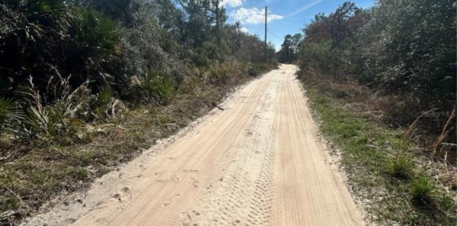 Land in Altoona, Florida № 2163588