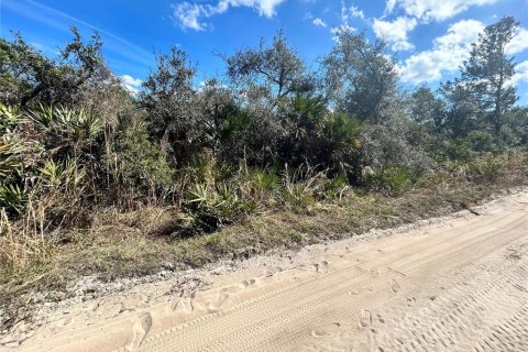 Land in Altoona, Florida № 2163588 - photo 8