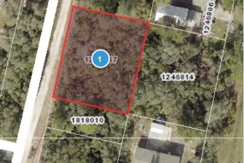 Land in Altoona, Florida № 2163588 - photo 13