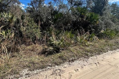 Land in Altoona, Florida № 2163588 - photo 4