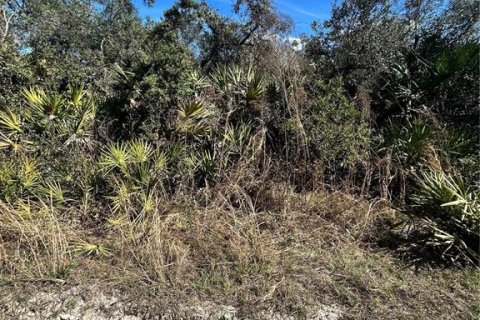 Land in Altoona, Florida № 2163588 - photo 2
