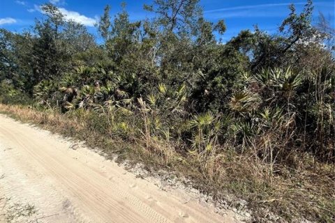 Land in Altoona, Florida № 2163588 - photo 5