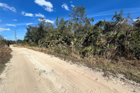 Land in Altoona, Florida № 2163588 - photo 10