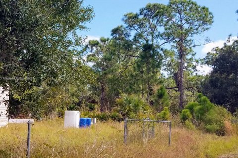 Land in Punta Gorda, Florida № 2077236 - photo 7