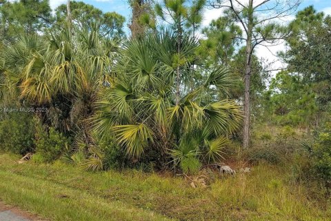 Land in Punta Gorda, Florida № 2077236 - photo 6