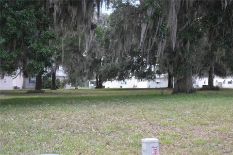 Land in Wildwood, Florida № 2278024