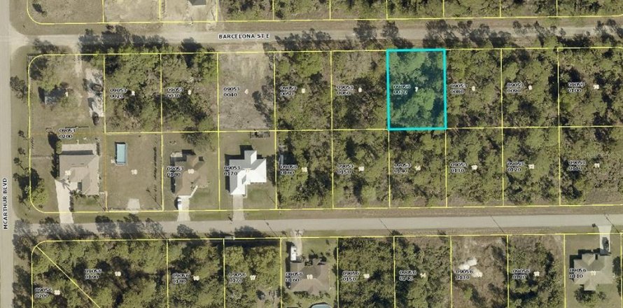 Land in Lehigh Acres, Florida № 2162856